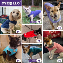 Load image into Gallery viewer, 2 Pack Dog Fleece Sweater Stretchy Sweatshirt with Reflective Stripe Pullover Soft Jacket Pet Clothes Dog Sweaters for Small Dogs Cats Grey &amp; Red
